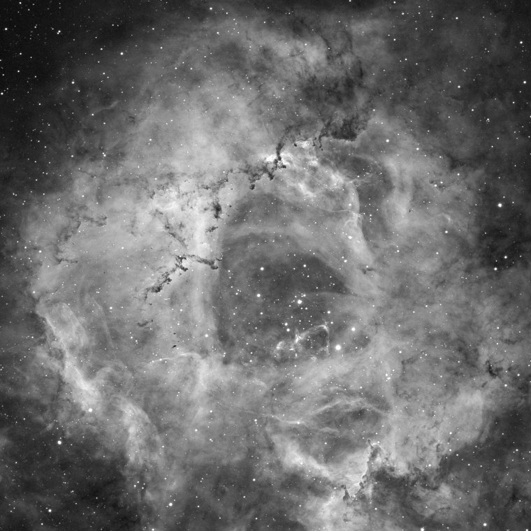 Rosette Nebula in Ha - Crop