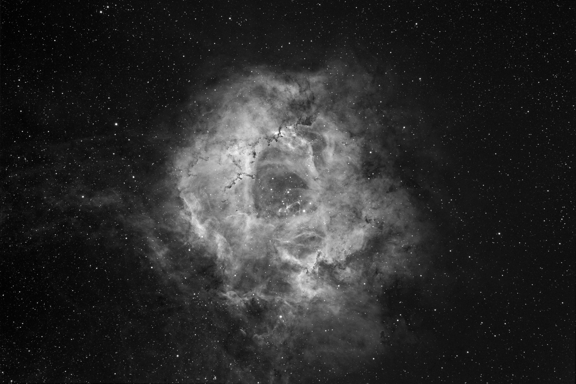 Rosette Nebula