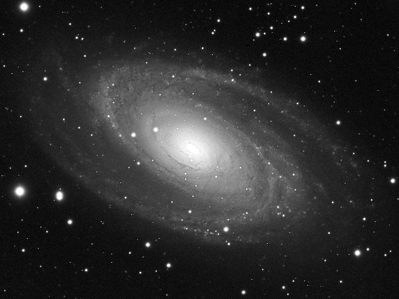 M81