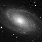 M81