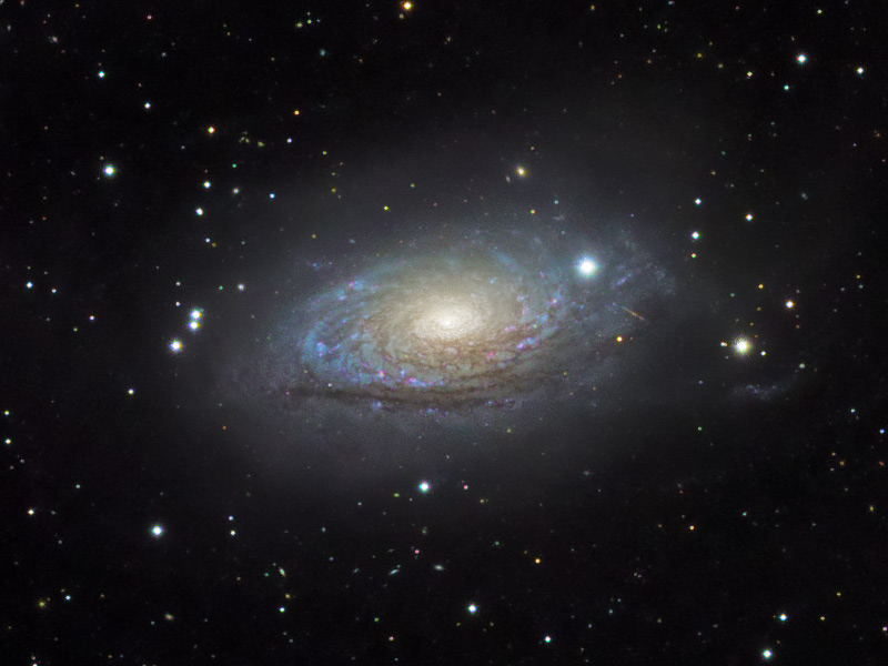 M63