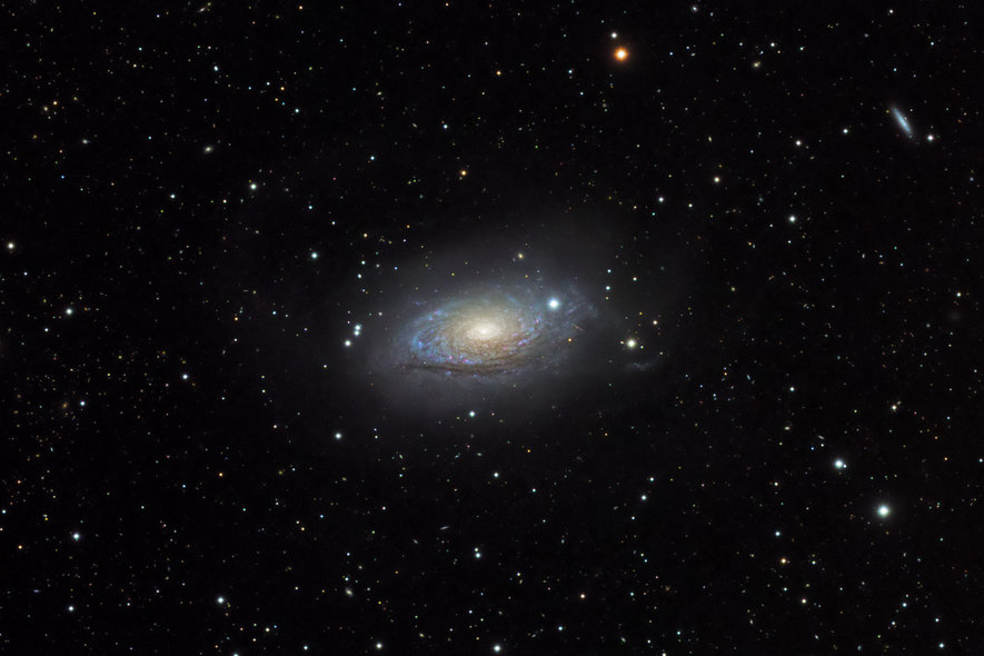 M63_widefield