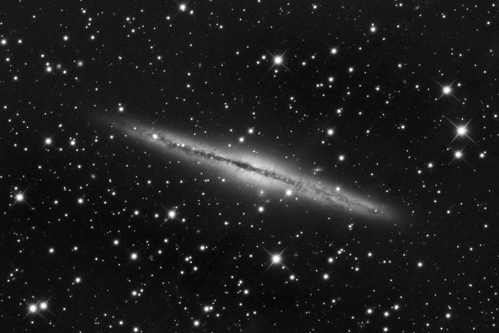 NGC891_Lum