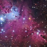 Fox Fur Nebula & Cone Nebula