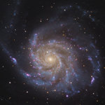 M101