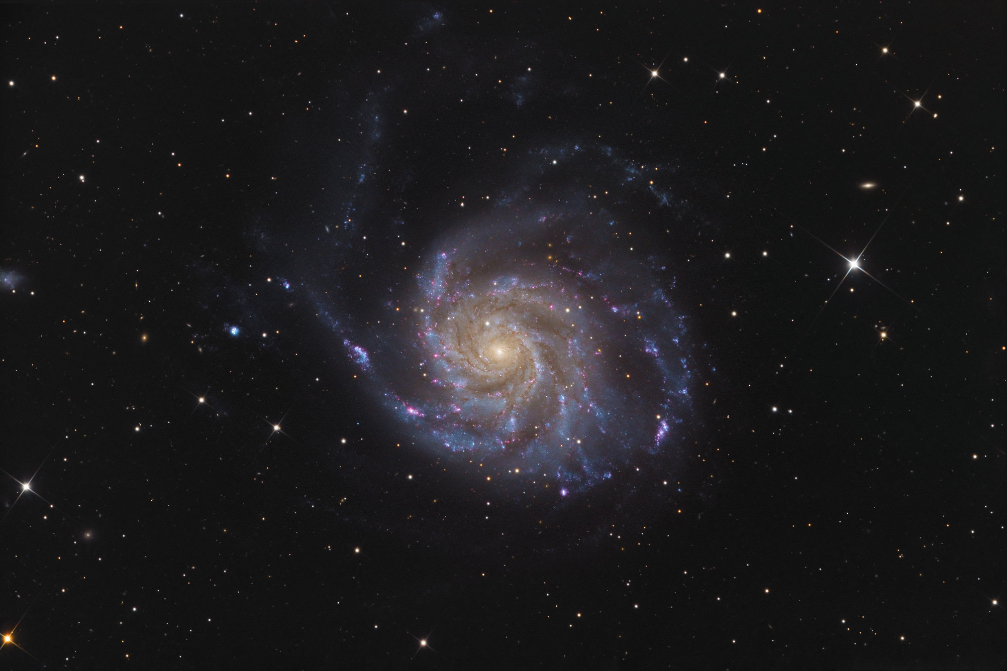 M101