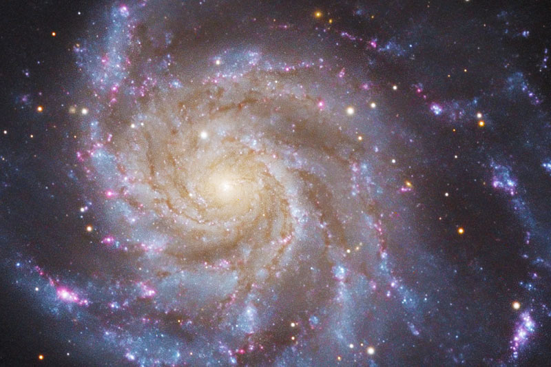 M101-CN