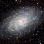 M33