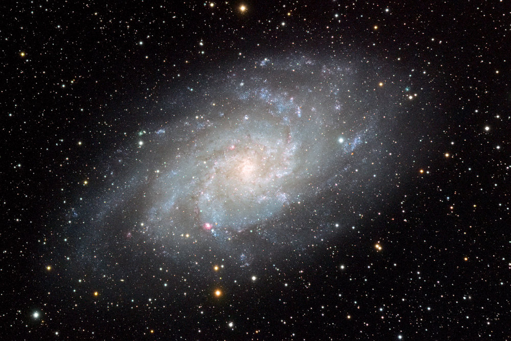 M33