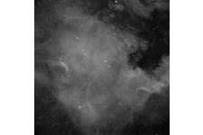 NGC7000-25%