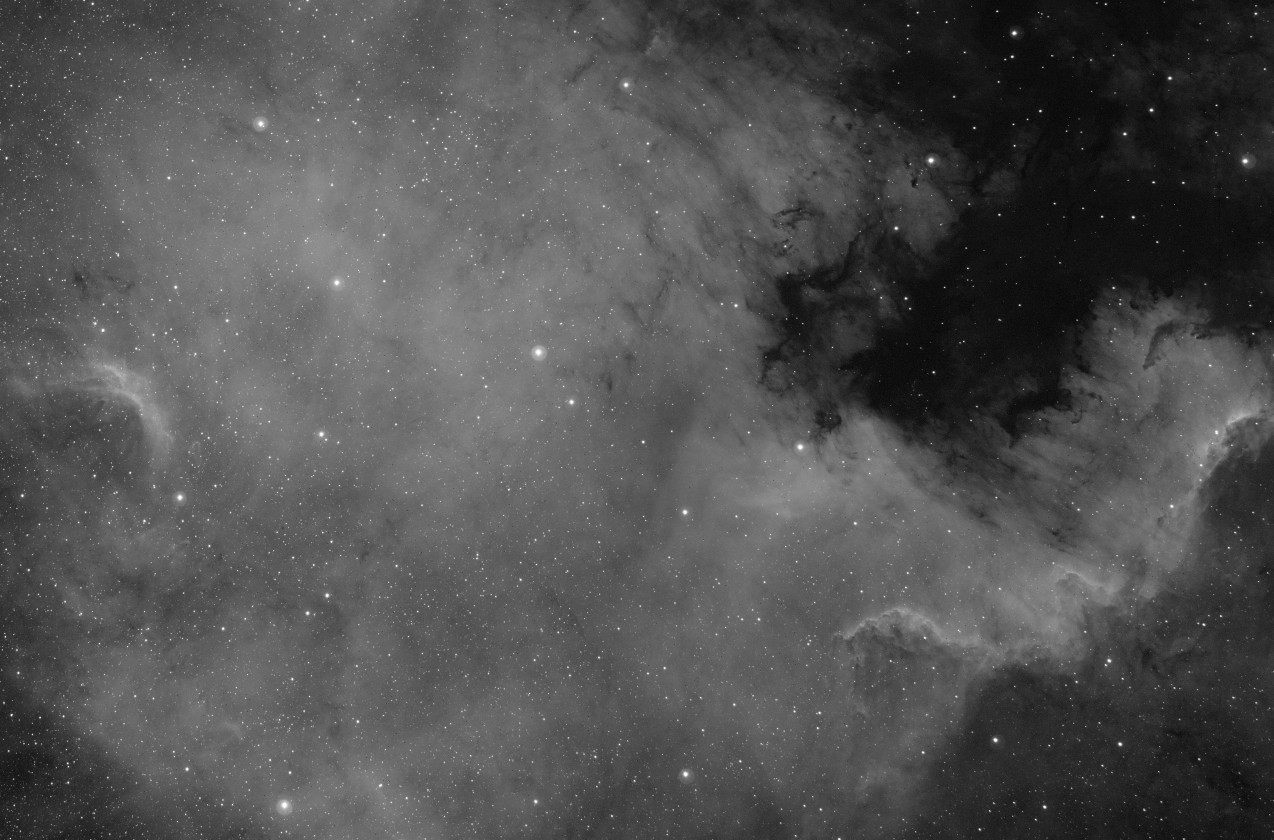 NGC7000-50%